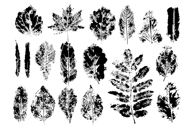 set-leaf-plant-print-monotype-in-isolated-white-background