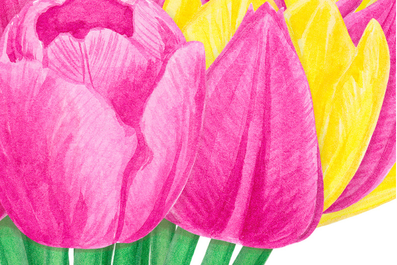 watercolor-tulips-bouquet-spring-flowers-clipart