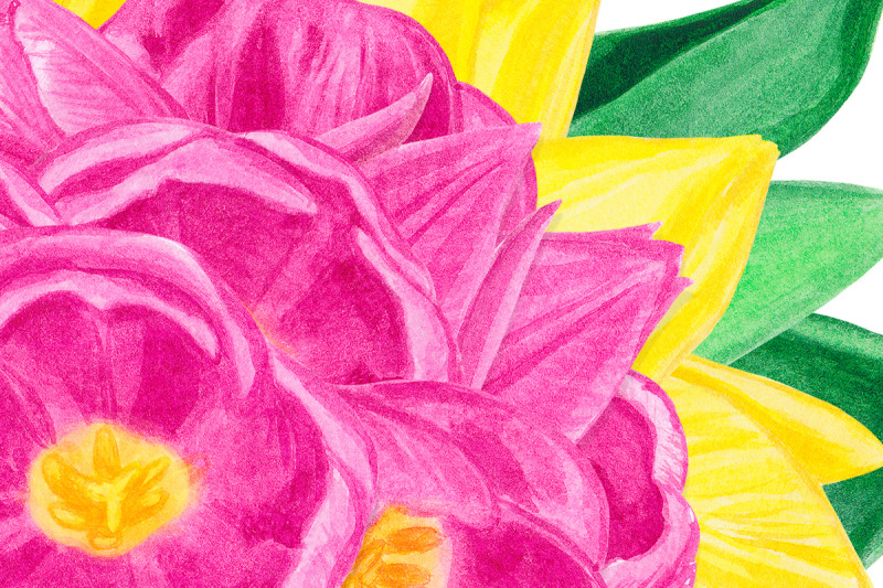 watercolor-nbsp-bouquet-of-tulips-nbsp-clipart