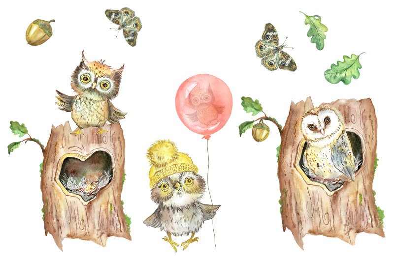 owls-watercolor-clipart-baby-animal-clipart-owl-woodland-forest