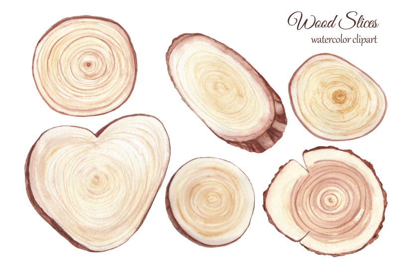 watercolor-wood-slice-clipart-wooden-rustic-elements