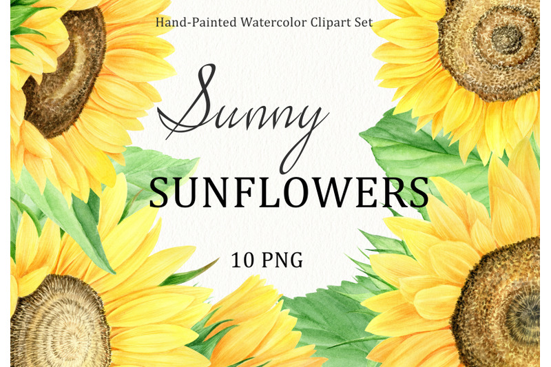 Watercolor sunflowers clipart set. Summer flowers PNG clip art. By ...