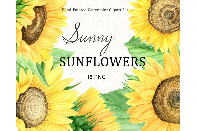 watercolor-sunflowers-clipart-set-summer-flowers-png-clip-art
