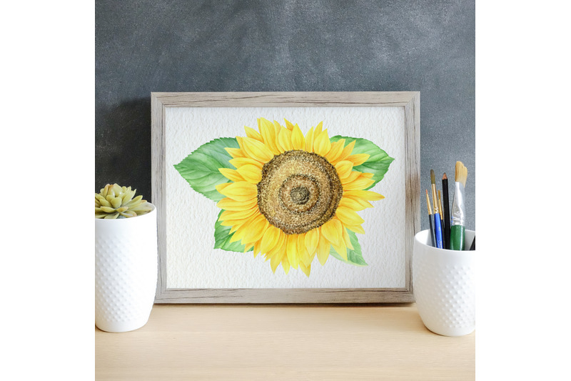 watercolor-sunflowers-clipart-set-summer-flowers-png-clip-art
