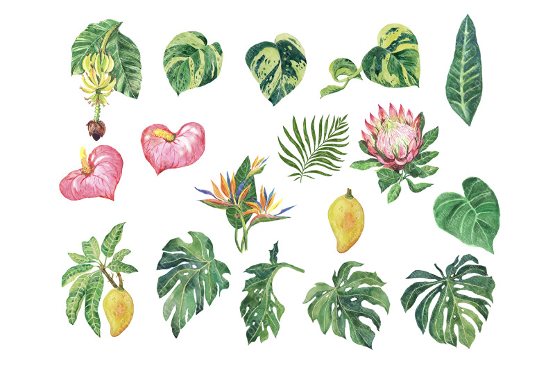 tropical-clipart-watercolor-flower-tropical-leaves-for-decor