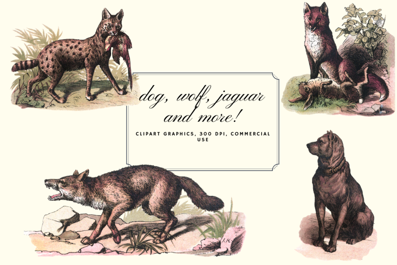 vintage-antique-dogs-clip-art-graphics-retro-wolfs-graphics