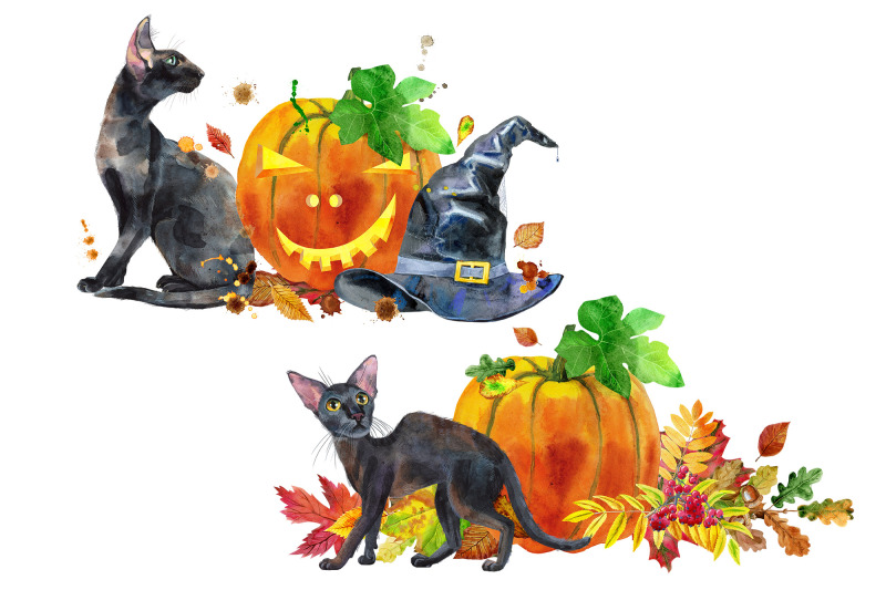 black-cats-and-pumpkins