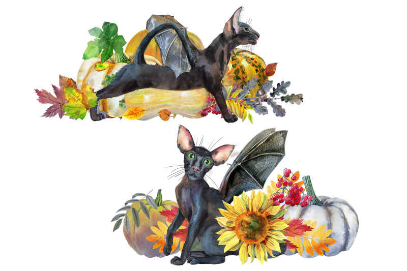 black-cats-with-wings-and-pumpkins