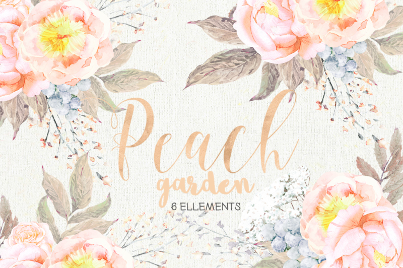 peach-peonies-watercolor-floral