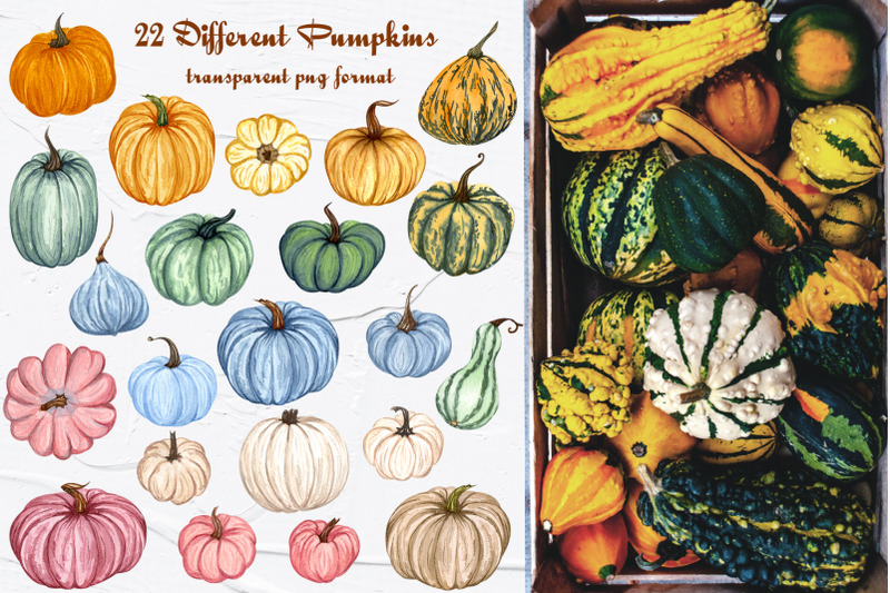 watercolor-pumpkin-clipart-600dpi