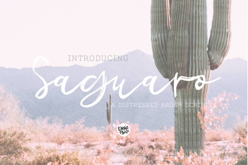 saguaro-a-distressed-brush-font