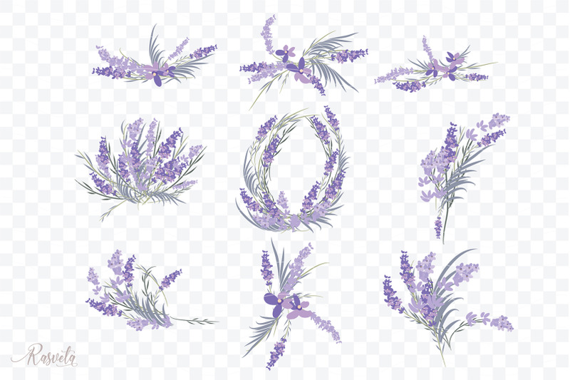 lavender-plant-flowers-clipart