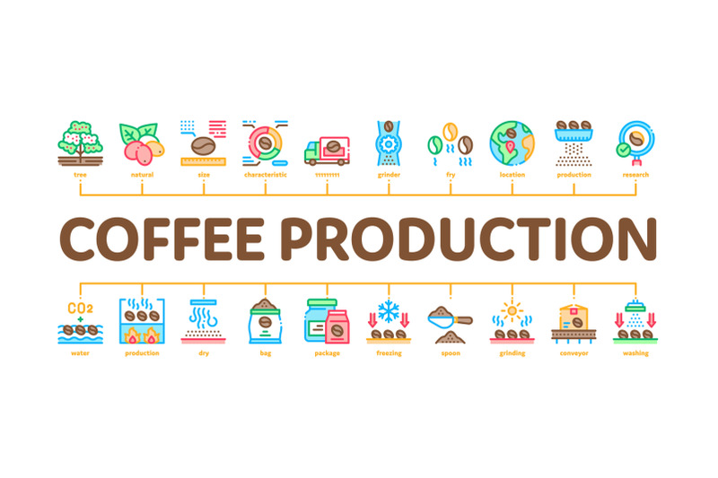 coffee-production-minimal-infographic-banner-vector