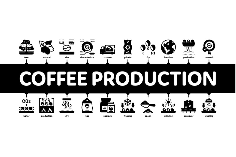 coffee-production-minimal-infographic-banner-vector