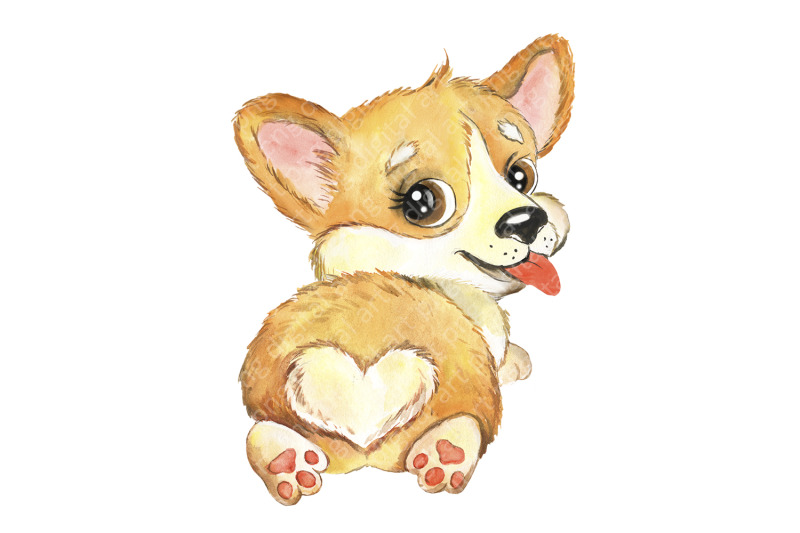 puppies-corgi-watercolor-dog-clipart-pets-clip-art-funny-dogs-animals