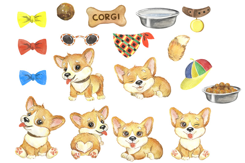 puppies-corgi-watercolor-dog-clipart-pets-clip-art-funny-dogs-animals
