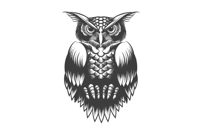 owl-tattoo-in-engraving-style