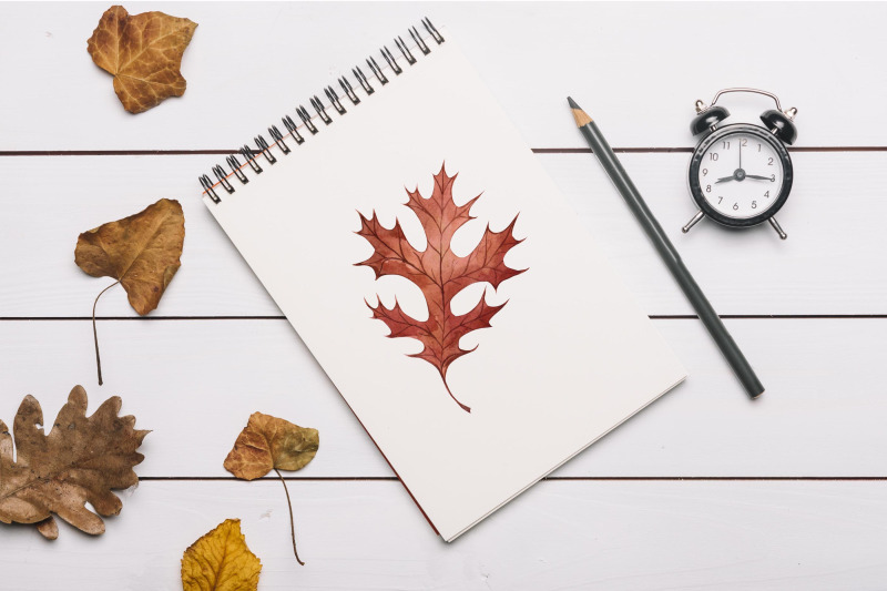 autumn-watercolor-set-illustrations-beetles-leaves-acorns