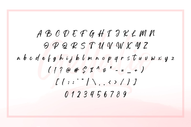 gellatio-chic-brush-font