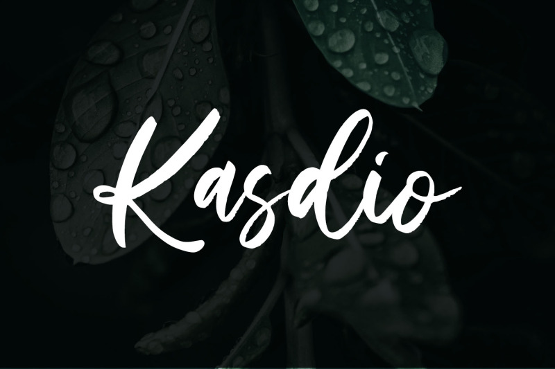 kasdio-brush-font