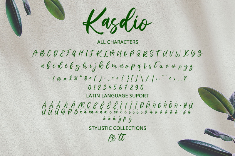 kasdio-brush-font