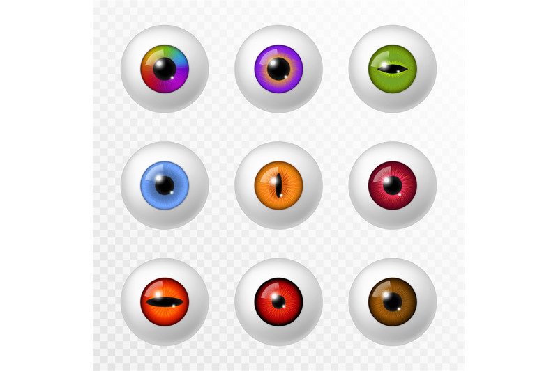 human-and-animal-eye-different-color-eyeball-and-lenses-various-roun