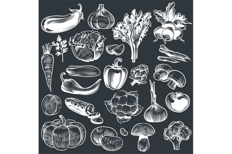 chalk-drawing-of-vegetables-various-vintage-hand-drawn-vegetable-org