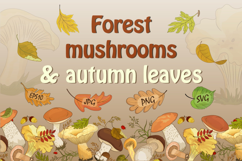 forest-mushrooms-and-autumn-leaves