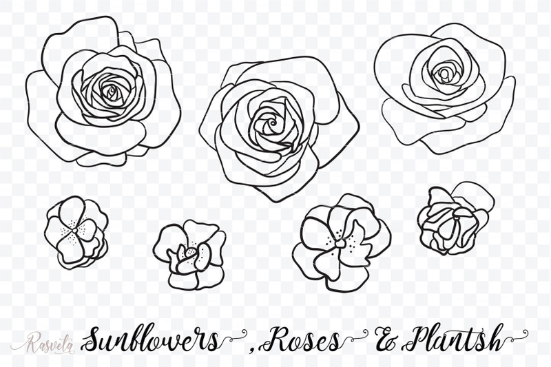 sunflowers-roses-rosehip-plants