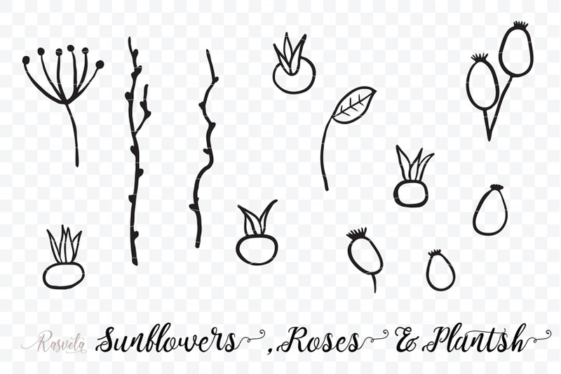 sunflowers-roses-rosehip-plants