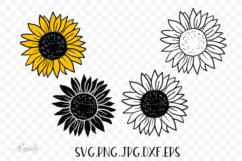 Download Sunflower Monogram Frames By RaSveta | TheHungryJPEG.com