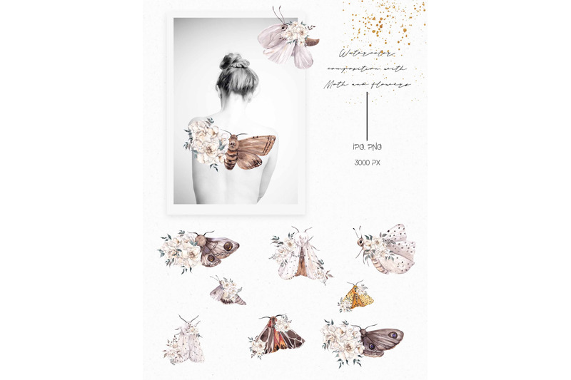moth-watercolor-and-graphic-collection