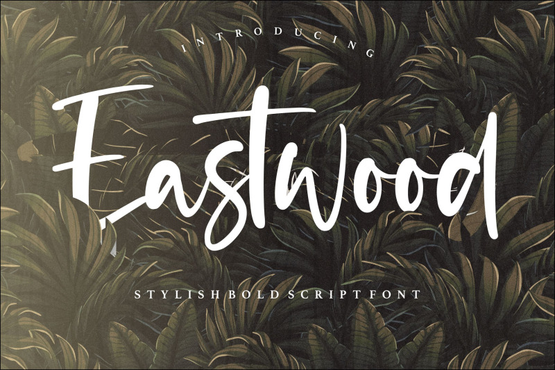 eastwood-stylish-bold-script-font