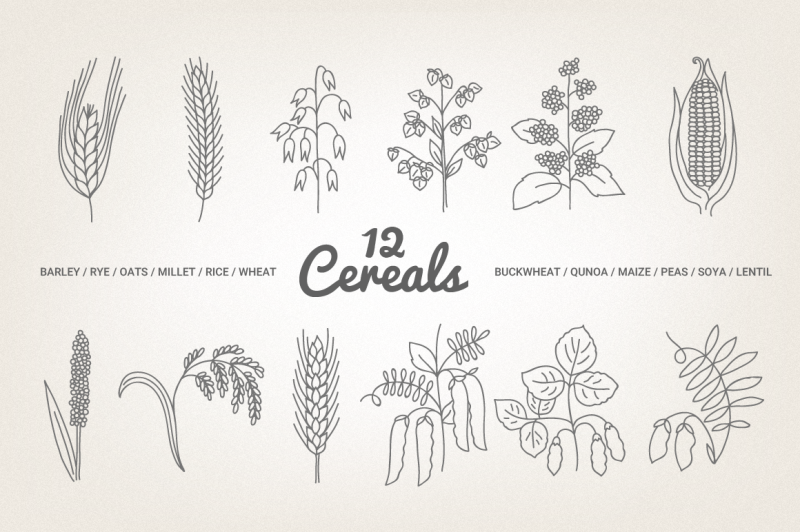 12-cereals-illustration-amp-patterns