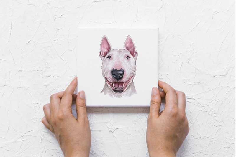 bull-terrier-watercolor-dogs-illustrations-set-cute-8-dogs