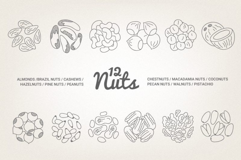 12-nuts-illustration-and-patterns