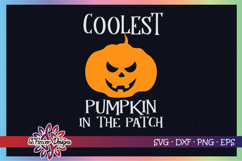 coolest-pumpkin-in-the-patch-halloween