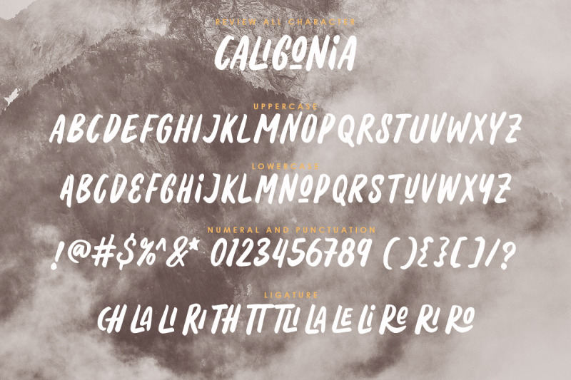 caligonia-casual-display-typeface