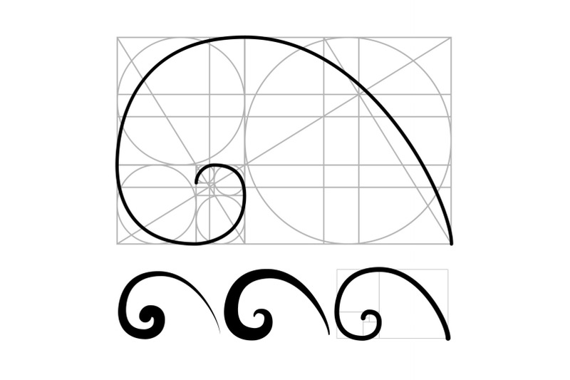 nautilus-golden-ratio-geometric-spiral-set-vector