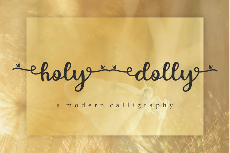 holy-dolly