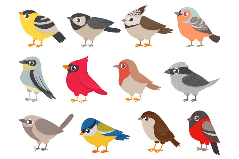 cute-birds-hand-drawn-little-colorful-birds-animals-characters-for-p