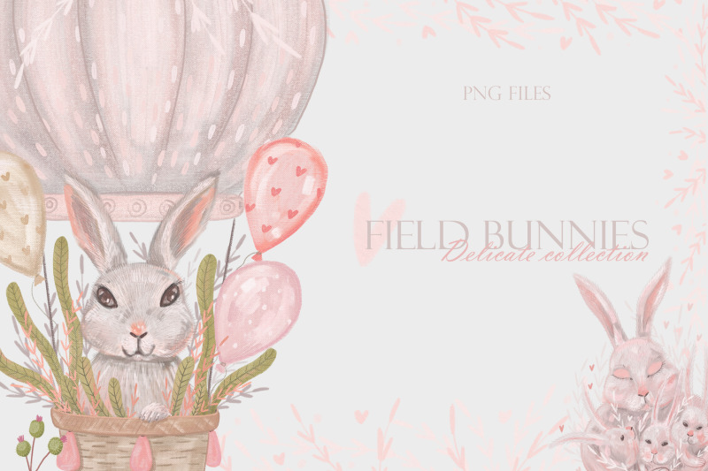 field-bunnies-delicate-collection