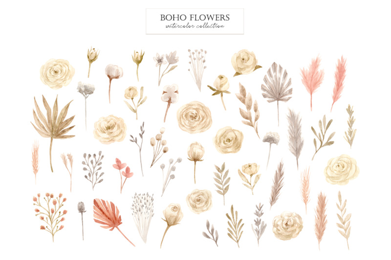 boho-flowers-watercolor-collection