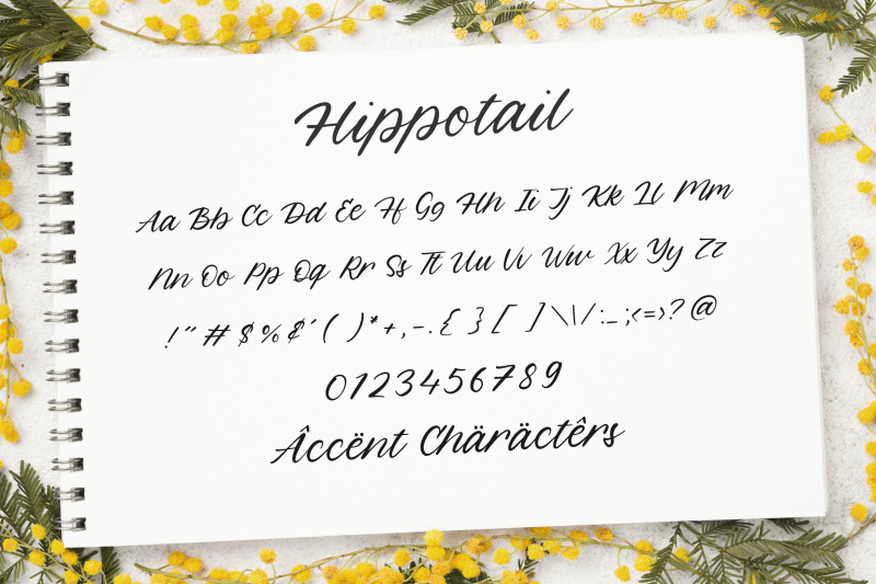 hippotail-beautiful-modern-handwritten-font