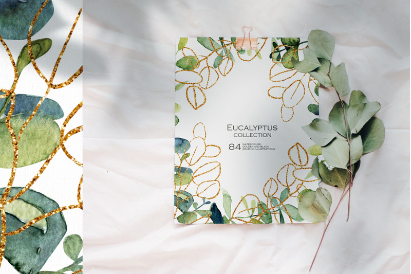 eucalyptus-golden-collection