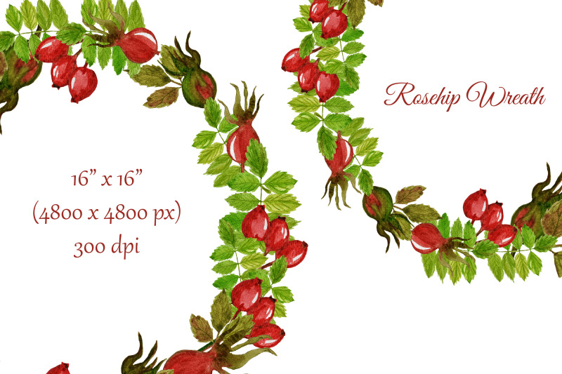 fall-watercolor-rosehip-wreath-thanksgiving-clipart