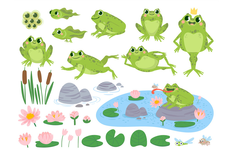 Cartoon frogs. Green cute frog, egg masses, tadpole and froglet. Aquat