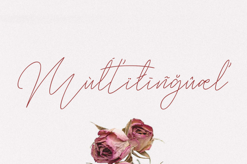 balleys-beautiful-handwriting-script-font