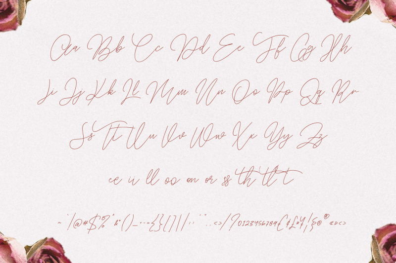 balleys-beautiful-handwriting-script-font