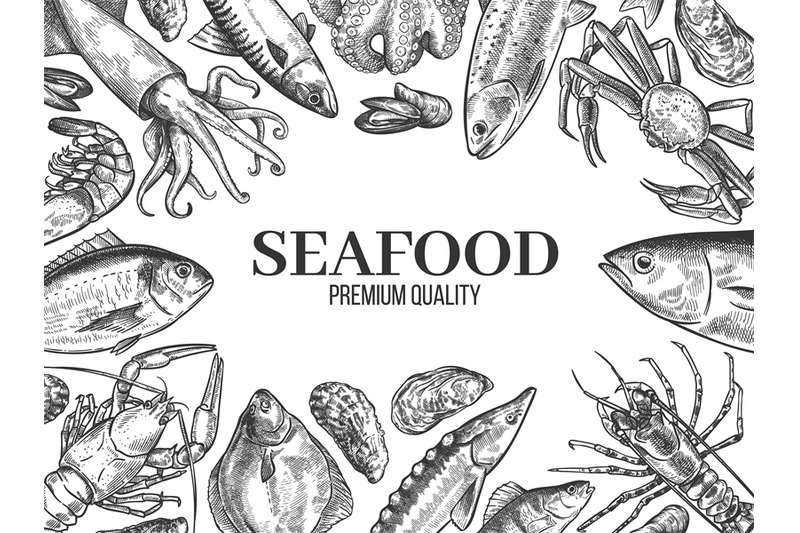 sketch-seafood-hand-drawn-fresh-fish-lobster-crab-oyster-mussel